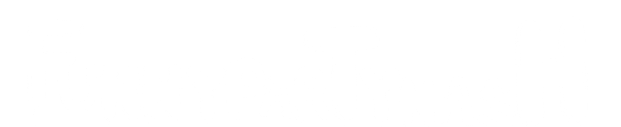 Funny Party Nashville