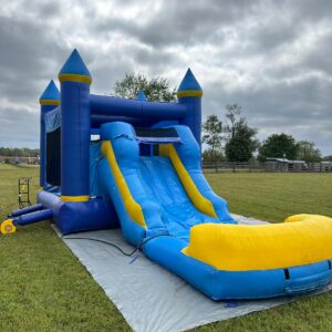 Castillo Tobogán Inflable "Delfín del Océano" (C/S piscina)